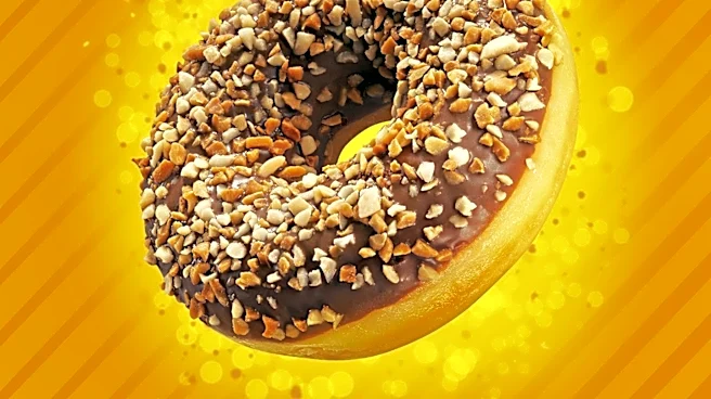 Dunkin's Refresherland at Lollapalooza: A Festival Oasis