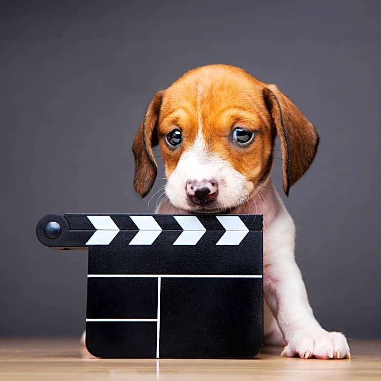 First Clip of Ridley Scott's 'The Dog Stars' Reveals Hopeful Post-Apocalyptic Tale