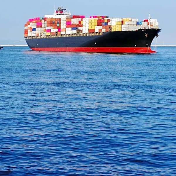 U.S. Trade Deficit Narrows in June Amid Record Imports from Key Partners