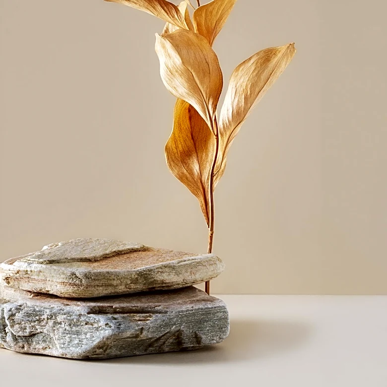 Minimalism: A Path to Intentional Living and Reduced Stress