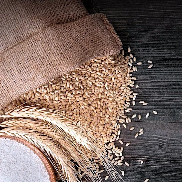 U.S. Wheat Markets Experience Decline Amid Harvest Progress