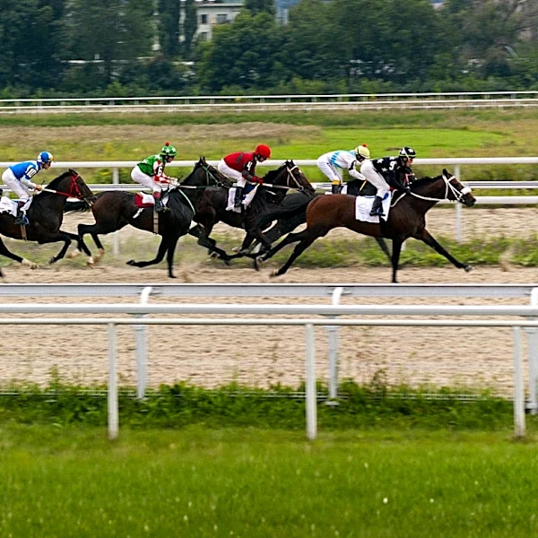 Convergent Eyes Victory at Haydock Park's Rose Of Lancaster Stakes Amid Track Repairs