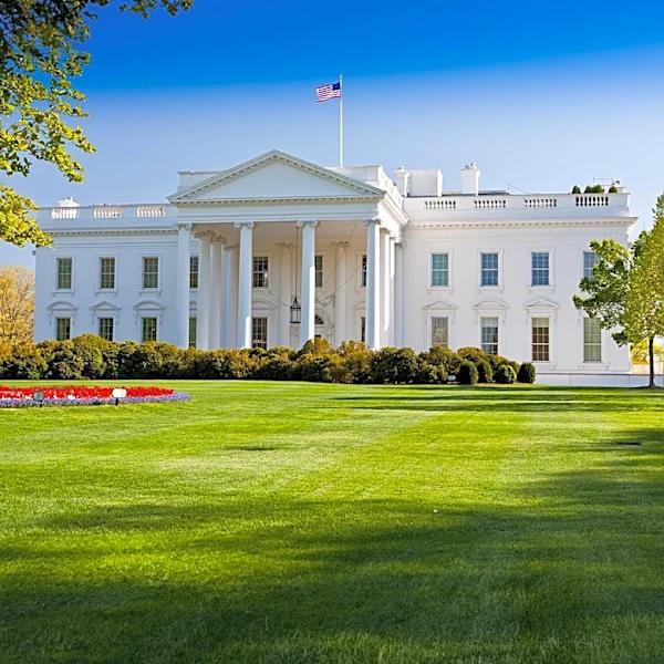 UFC's White House Event Results in $30M Loss, Yet Business Growth Continues