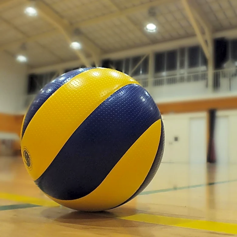 UAPB Lady Lions Volleyball Team Prepares for 2026 Season with New Schedule
