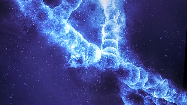 Prebiotics and Probiotics: Understanding Their Role in Gut Health