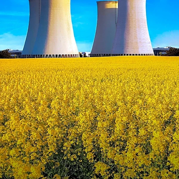 Westinghouse and Amentum Collaborate on Advanced Nuclear Reactor Deployment