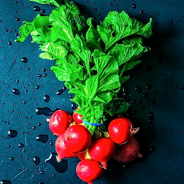 Ted Benna Introduces Radish Plan to Enhance Retirement Savings