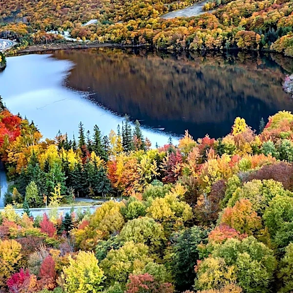 Priceline Reveals Top U.S. Fall Foliage Destinations for 2026