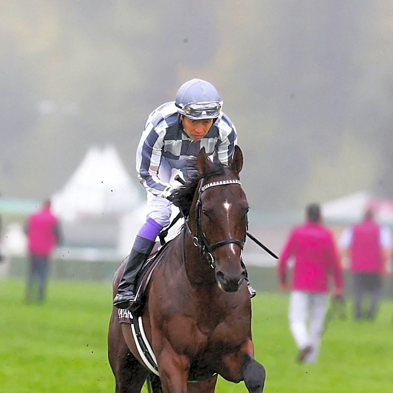 Calandagan Withdraws from Juddmonte International, Focuses on Japan Cup