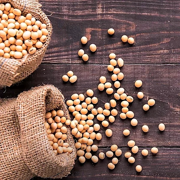 Soybean Prices Decline Amidst Mixed Market Signals and Export Challenges