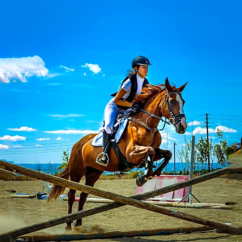 Renowned Horse Trainer Monty Roberts Passes Away at 91, Leaving Legacy of Nonviolent Training