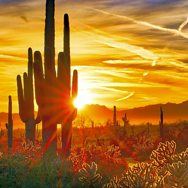 Miraval Arizona Resort  Spa Offers Wellness-Focused Retreats in the Sonoran Desert