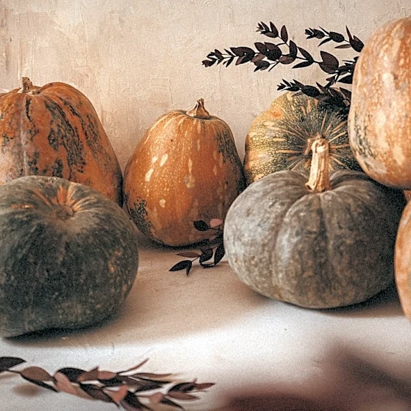 TJ Maxx Offers Affordable Fall Decor Resembling Pottery Barn