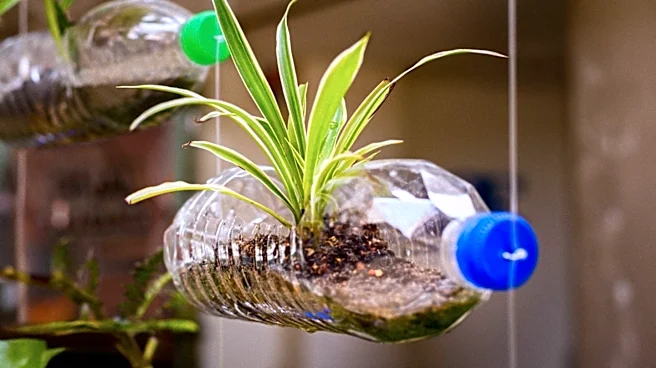 Upcycling Plastic Containers: A Sustainable Approach to Household Waste