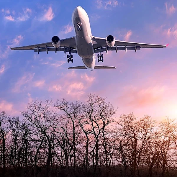 Airlines' Carbon Offset Programs Under Scrutiny for Greenwashing Concerns