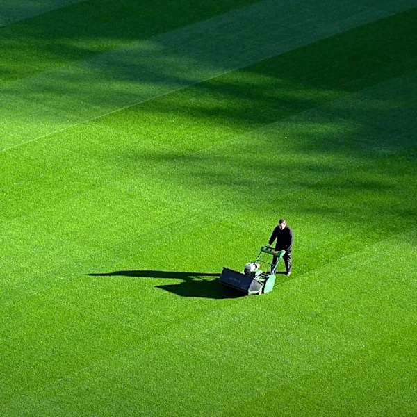 Exploring the Art and Science of Lawn Mowing Efficiency