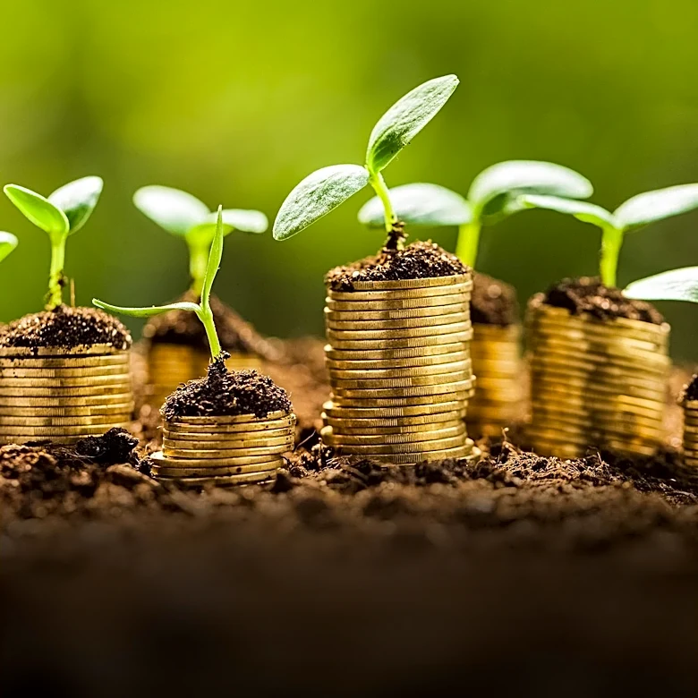 Vanguard S 500 ETF Maintains Strong Performance Amid Market Fluctuations