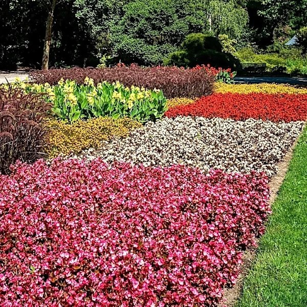 Brooklyn's Greenest Block for 2026 Announced by Brooklyn Botanic Garden