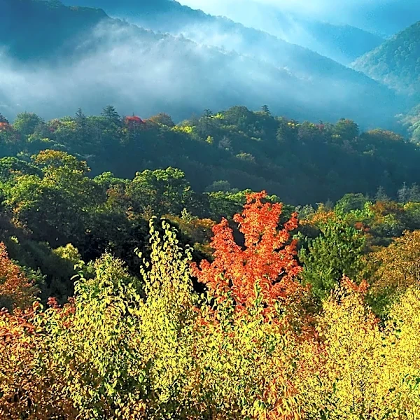 Top U.S. Destinations for Fall Foliage in 2026 Revealed by Priceline