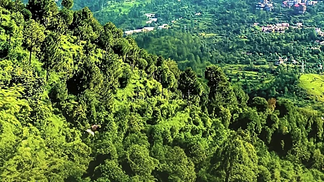 Roanoke, Virginia Emerges as an Affordable Mountain Town with Outdoor Appeal