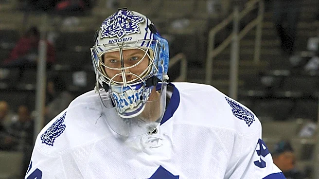 Toronto Maple Leafs' Strategic Offseason Acquisitions Under New GM Chayka