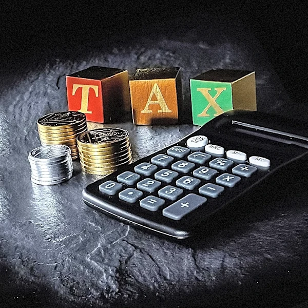 Palantir Accused of Profit Shifting to Avoid European Taxes