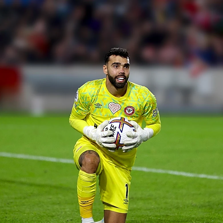 Arsenal's Transfer Strategy: David Raya's Role Amid New Signings