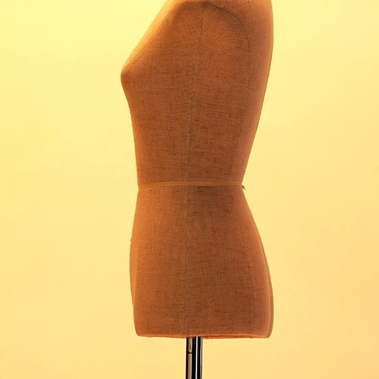 Study Reveals Waist-to-Bust Ratio Influences Attractiveness Perceptions in Japan