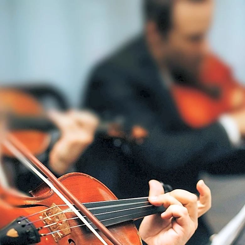 Marquette County String Orchestra Society Expands to Include Beginners in Second Season