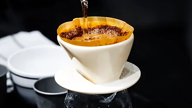 Coffee Experts Advocate for Filtered Water to Enhance Brew Quality