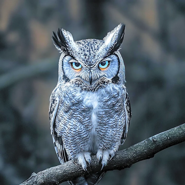 Blue Owl's Stack Infrastructure Acquires Virginia Data Center Site for $66 Million