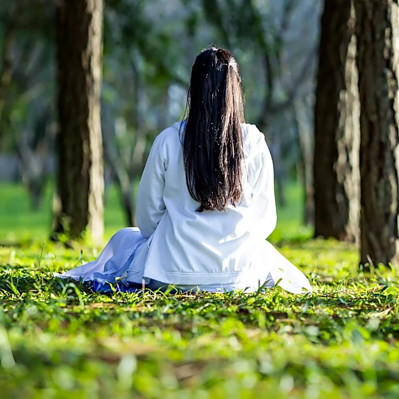 Forest Bathing Gains Popularity in the U.S. for Health Benefits