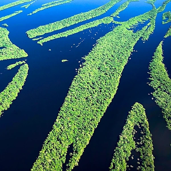 Amazon Cancels Data Center Plans at Calvert Cliffs Amid Local Opposition