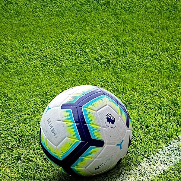 Walsall Head Coach Lee Grant Seeks Additional Signings Amid Pre-Season Challenges