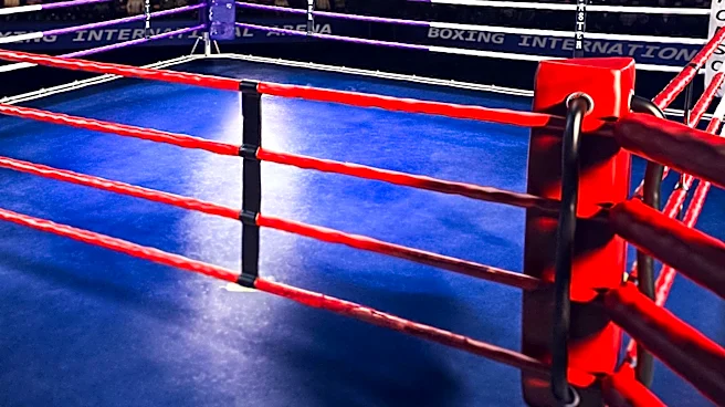 Frank Sanchez Agrees to Step-Aside Deal for IBF Heavyweight Title Shot