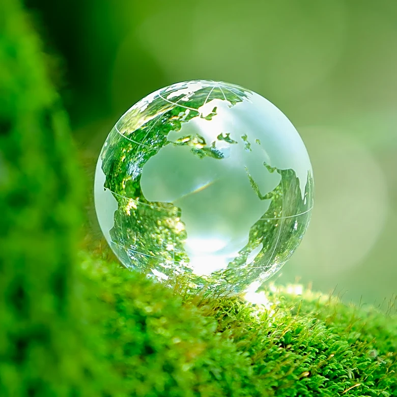 Lab-Grown Meat: Ethical and Environmental Implications Explored