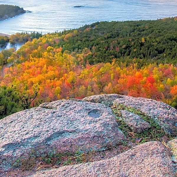 Exploring East Coast State Parks for a Fall Road Trip Experience