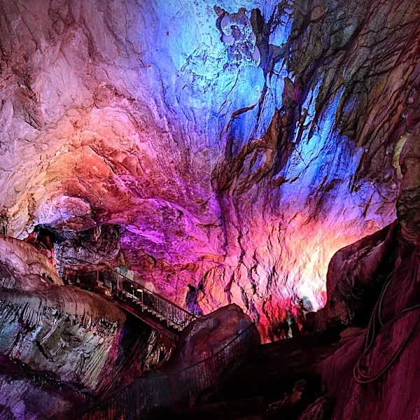 Mammoth Cave in Kentucky: A Natural Wonder with Rich Biodiversity