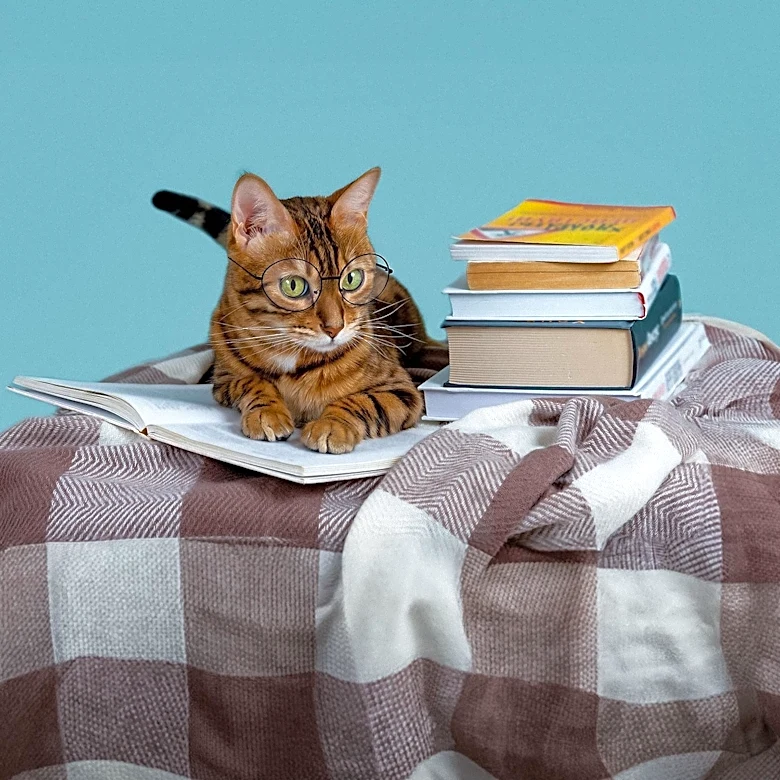 Project Gutenberg Releases 'A Cat Book' by E. V. Lucas for Free Download