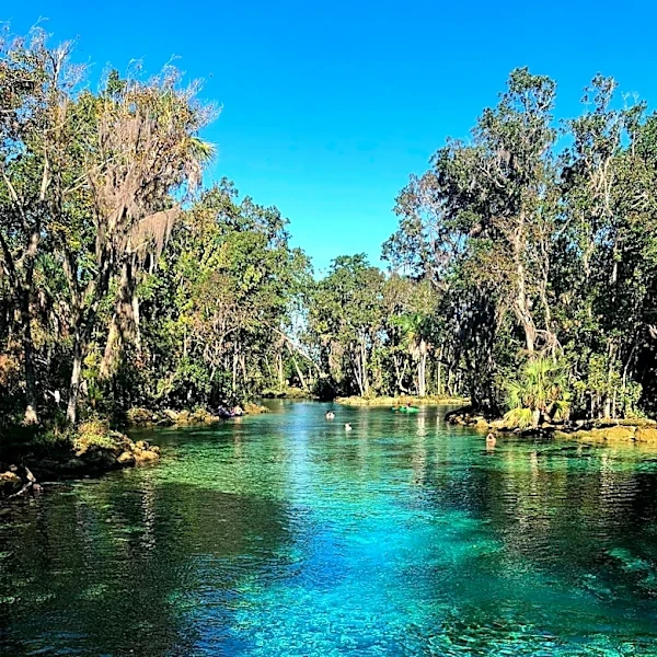Florida's Off-the-Grid Towns Offer Unique Nature Experiences and Historic Charm