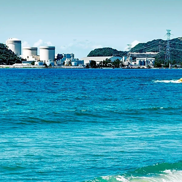 Westinghouse Expands AP1000 Technology to AP300 Small Modular Reactor