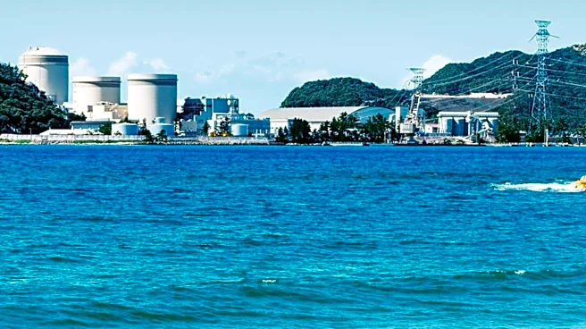 Westinghouse Expands AP1000 Technology to AP300 Small Modular Reactor