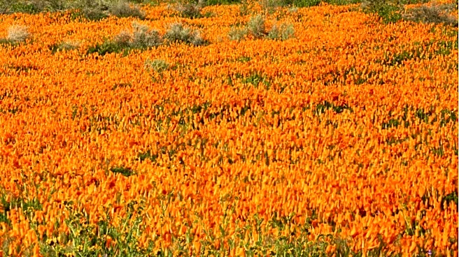Sierra Nevada Offers Easy Day Trips for Outdoor Enthusiasts Near Sacramento