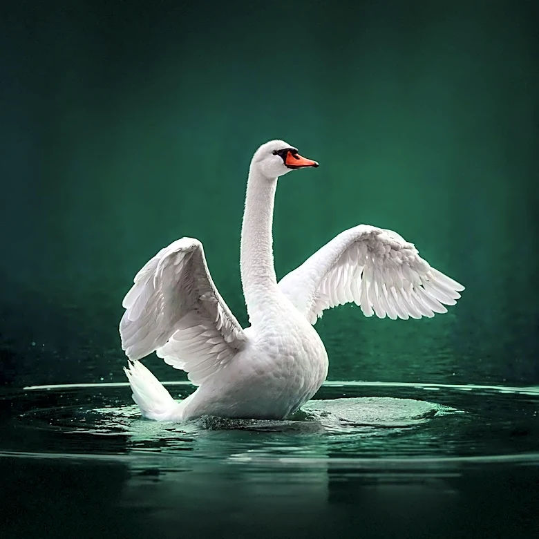 Swan Bitcoin CEO Cory Klippsten sees users embracing stronger safeguards after $100 million Coldcard exploit