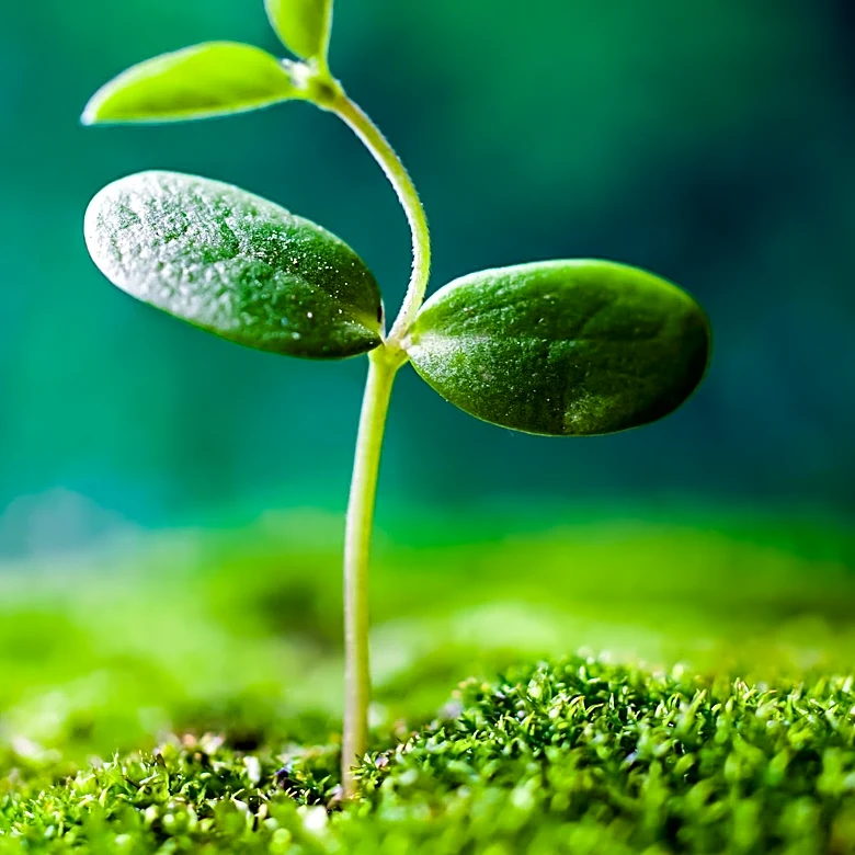 Volastra Therapeutics Relocates to Alexandria Center for Life Science, Signaling Growth
