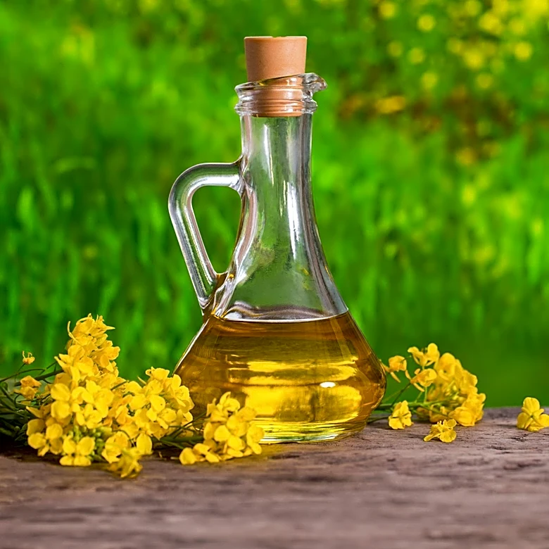 Archer Daniels Midland Strengthens Market Leadership in Canola Oil Industry