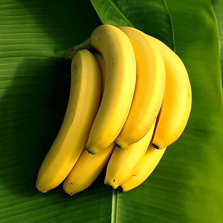 Dietitians Advocate for Daily Banana Consumption to Boost Health