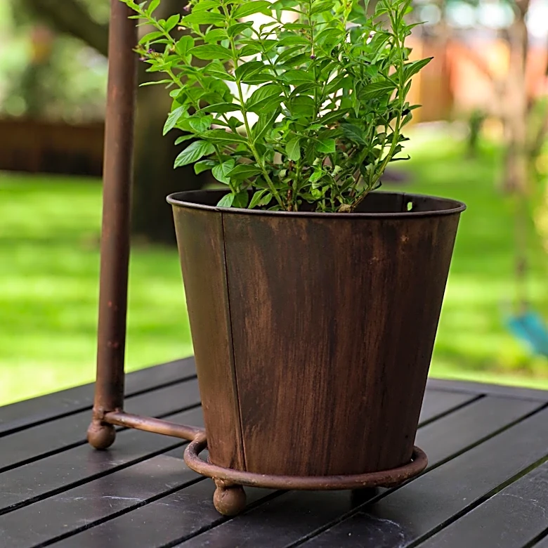 North Carolina Gardener's Self-Watering Planter Technique Prepares for Fall