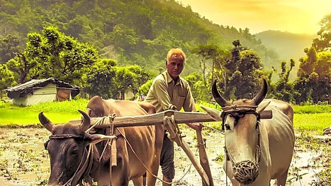 Farmers' Decision-Making Enhanced by ARC-CO and PLC Payments Analysis