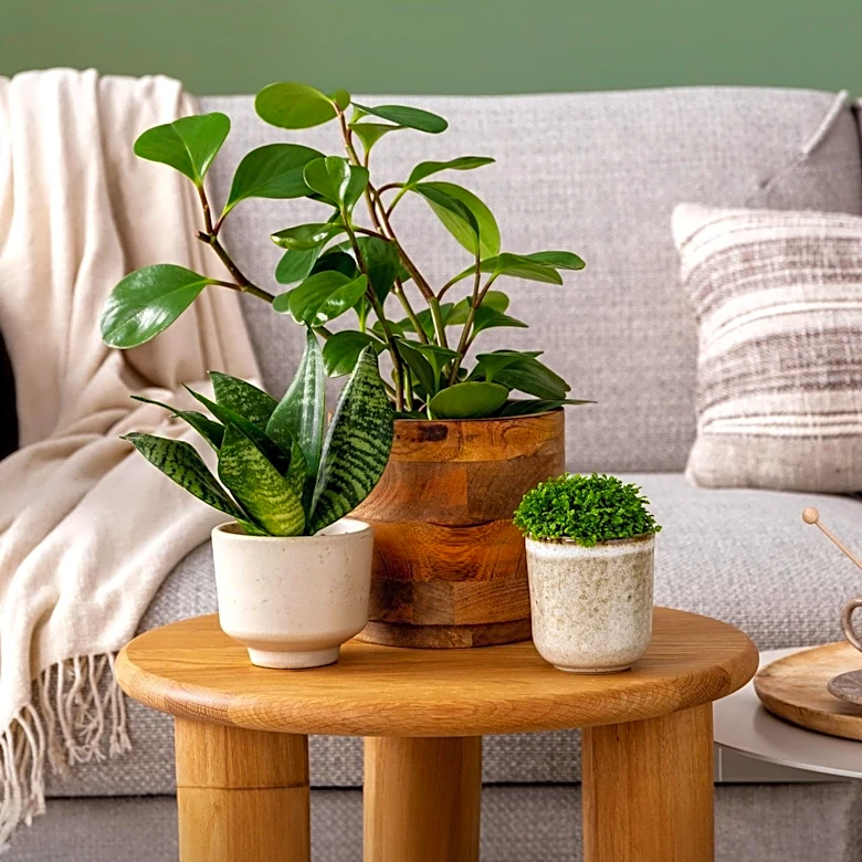 Sherwin-Williams' Oyster Bay Paint Gains Popularity for Its Versatility and Calming Effect